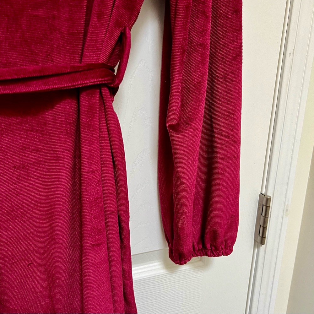 Red Velvet Jewel Toned Dress 🎀 - Picture 7 of 10